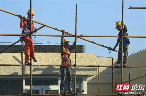 想不到你是这样的建筑工人 增加世界高度的脚手架工
